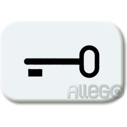 Tastersymbol Schlüssel Reflex SI, alpinweiss