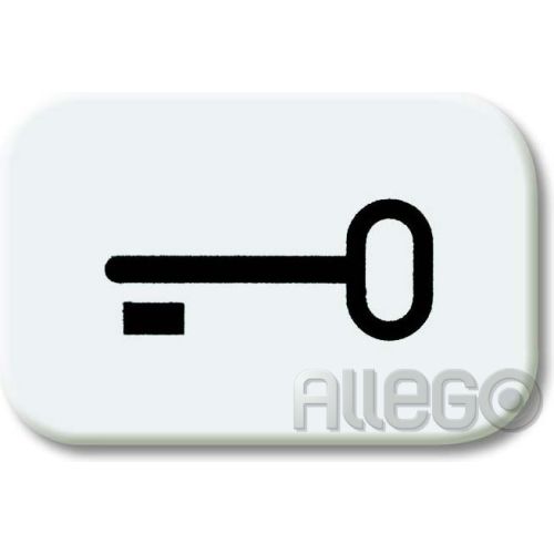Bild: Tastersymbol Schlüssel Reflex SI, alpinweiss