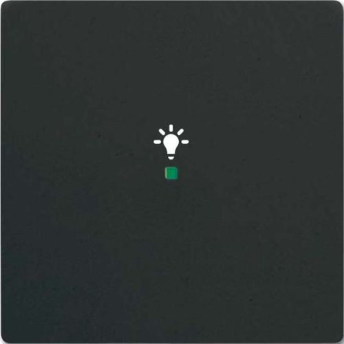 Bild: Tastwippe KNX 1f free@home sw mt Kst