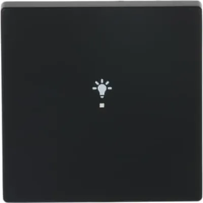 Busch-Jaeger Wippe 1-fach 6231-10-885 | KNX free@home Tastwippe | Symbol Licht | matt | Thermoplast | schwarz
