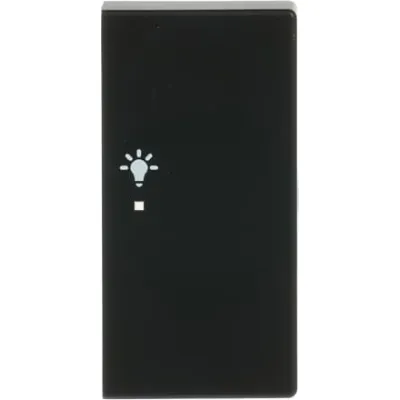 BUSCH-JAEGER Wippe 6231-22-885 | KNX free@home | 2-fach rechts | Licht Symbol | future linear | schwarz matt