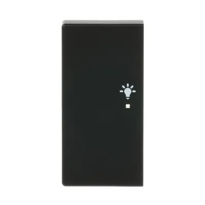 Busch-Jaeger Wippe 2-fach links 6231-21-885 | KNX free@home Tastwippe | Symbol Licht | schwarz matt | Thermoplast