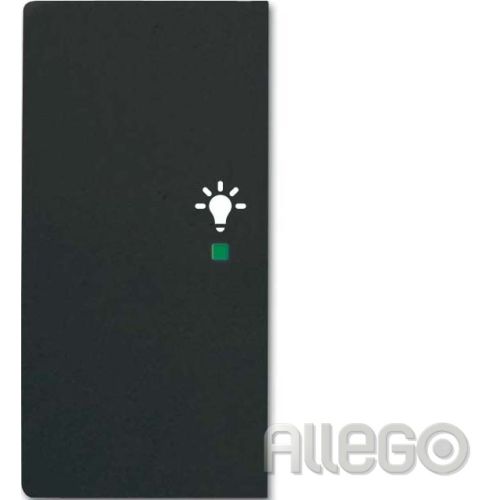 Bild: Tastwippe KNX 2f free@home sw mt Kst