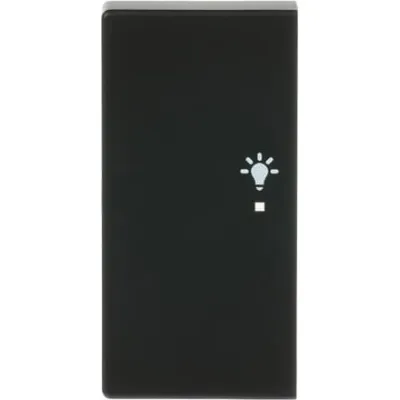Busch-Jaeger Wippe 2-fach links 6231-21-885 | KNX free@home Tastwippe | Symbol Licht | schwarz matt | Thermoplast