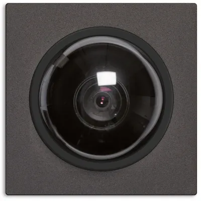 TCS Dome-Kameramodul AMI10620-0057 | 700 TVL | PAL | Bus-System | Tag/Nacht | Aluminium | IP66 | schwarz