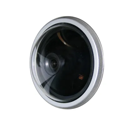 TCS Domekamera FVK4225-0 | 700 TVL | 3,6 mm Objektiv | Sony CCD | IP66 | vandalismussicher | PAL | schwarz