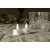 Bild: Star Trading LED-Teelicht Flamme 2er-Set 063-05-1 | warmweiß | Timer 6 Std. | Ø 3,8 cm | H 5 cm | inkl. Batterie
