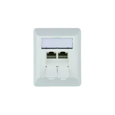Telegärtner Anschlussdose AMJ45 J00023A0204 | Cat.6A Netzwerkdose | 2x RJ45 AP | geschirmt | LSA | schräg | alpinweiß
