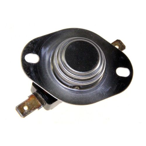 Bild: Temperaturbegrenzer 00170395