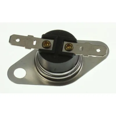 Temperaturbegrenzer 00425285