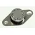 Bild: Temperaturbegrenzer 00425285