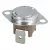 Bild: Temperaturbegrenzer 00608373