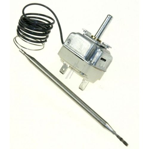Bild: Temperaturregler 00499808