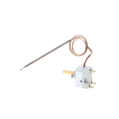 Temperaturregler 00619321