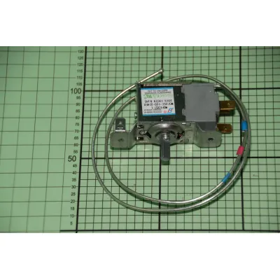 Termostat WDF25T-100-024 1045447