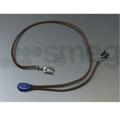 Thermosicherung | 816810413 für Kaffeemaschine | Original SMEG Smeg