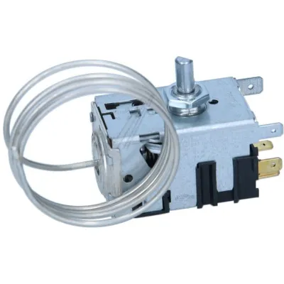 Thermostat (2063979534)