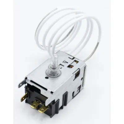 Thermostat (2425021520)