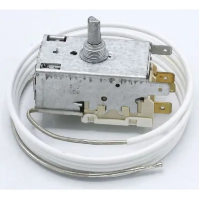 Thermostat (50279957000)