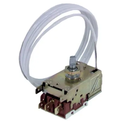 Thermostat für Gefrierschränke (50059677000)