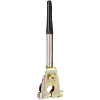 Telemecanique Sensors Antriebskopf für Positionsschalter ZC2JY81 | Federstab-Federhebel | Kunststoffende | tropenfest