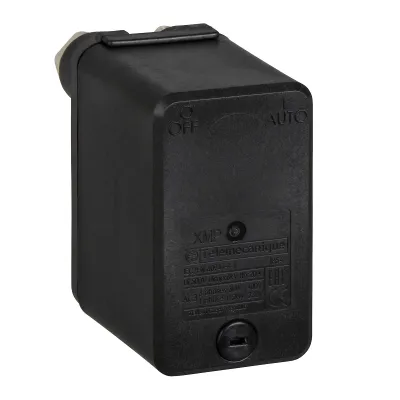 Telemecanique Sensors Druckschalter XMPA12B2242 | 12 bar | G 3/8" Buchse | 2 Öffner | IP54 | 1,3–12 bar