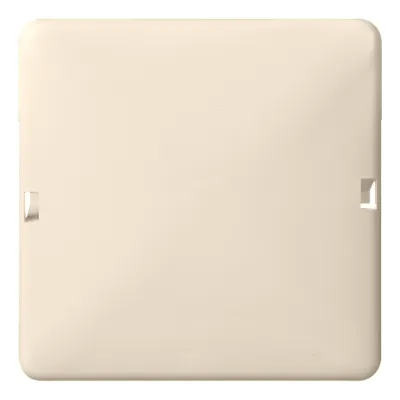 Elso Blindabdeckung 503010 | 1-fach rastbar | Aufputz | Kunststoff Thermoplast | 80x80 mm | Renovierung | perlweiß