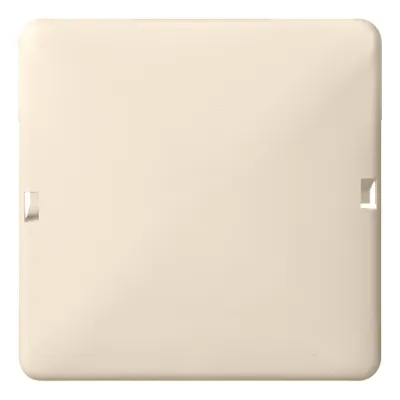 Elso Blindabdeckung 503020 | 1-fach Aufputz | Thermoplast | rastbar | lange Rasthaken | 80x80 mm | perlweiß