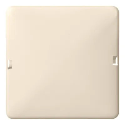 Elso Blindabdeckung 503020 | 1-fach Aufputz | Thermoplast | rastbar | lange Rasthaken | 80x80 mm | perlweiß