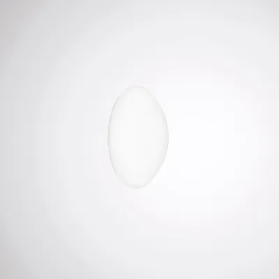 TRILUX LED-Deckenleuchte Mondia G3 | 7962540 | 12W 1400lm 3000K warmweiß | IP40 | Ø310mm | Stahl weiß | für Wand & Decke