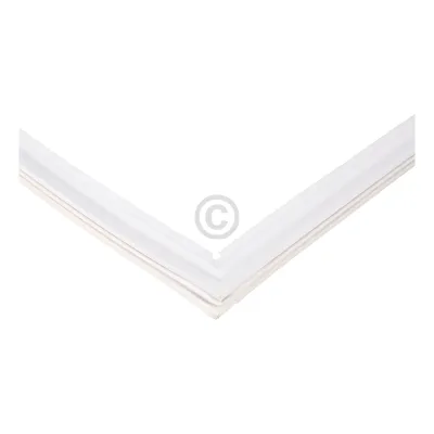 Türdichtung Amica 1016363 für Kühlschrank Amica