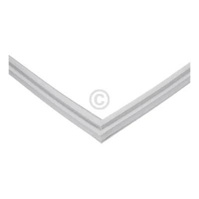 Türdichtung für Gefrierteil Blomberg 4668510100 in Kühl-Gefrierkombination