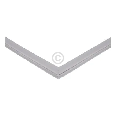 Türdichtung für Kühlteil Beko 4668510300 in Kühl-Gefrierkombination 1022657