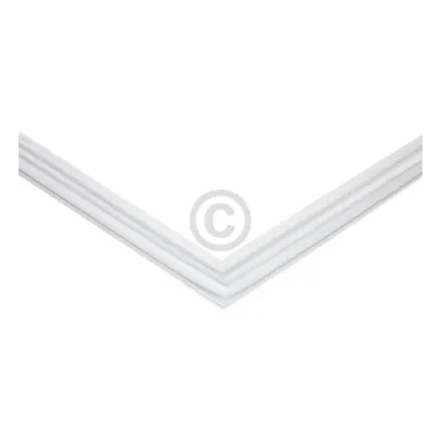 Türdichtung für Kühlteil Bosch 00244043 in Kühl-Gefrierkombination