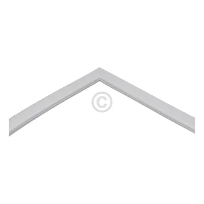 Türdichtung K54270 Beko 4669521700 für Kühlschrank