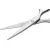 Bild: ZWILLING Haushaltsschere Twin Select 1021190 | Vielzweckschere Edelstahl 16 cm | ergonomisch | robust | silber matt