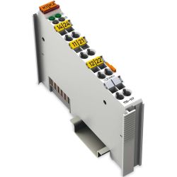 Wago 2-K-Relaisausgangskl.AC250V 750-517 DC300V 2DO 1,0A/Rel. 2CO/ Pot. Free