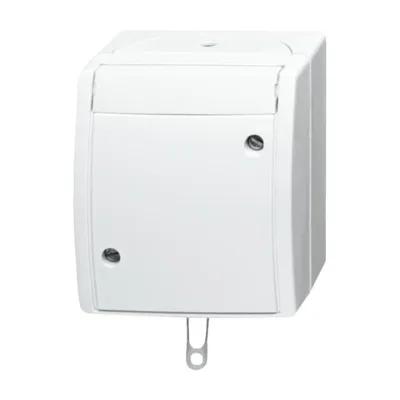 Busch-Jaeger Zugschalter 2610/6 W-54 | Wechselschalter Aufputz | Zugschnur | IP44 | 250V 10AX | Thermoplast | alpinweiß