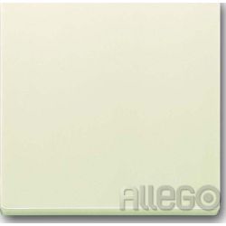Wippe 1t Schalt/Tast future linear elf-ws glz