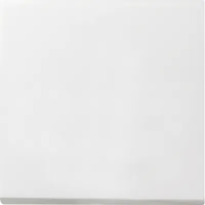 Gira Wippe für Flächenschalter 0296112 | Wechselschalter Einsatz | Kunststoff glänzend | reinweiß RAL 9010