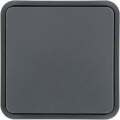 Berker Wippe 1fach 6130763545 | Schalter/Taster Abdeckung | Kunststoff matt | IP55 | grau RAL 7011