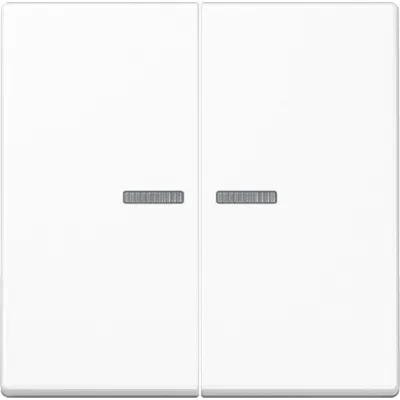 JUNG Wippe für Serienschalter A595KO5WW | Kontrollwippe 2-fach | mit Lichtleiter | Duroplast | IP44 | alpinweiß