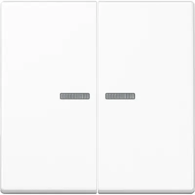 JUNG Wippe für Serienschalter A595KO5WW | Kontrollwippe 2-fach | mit Lichtleiter | Duroplast | IP44 | alpinweiß
