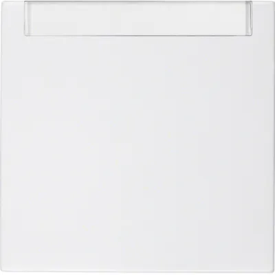 Berker Wippe mit Beschriftungsfeld | 16268989 | polarweiß glänzend | Kunststoff Duroplast | IP20 | S.1 B.3 B.7