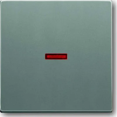 Busch-Jaeger Kontrollwippe 1789-803 | solo Serie | rote Kalotte | Kunststoff | grau metallic | glänzend