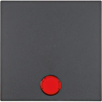 Berker Wippe 16211606 | Kontrollwippe Schalter/Taster B.3/B.7 | mit 5 Linsen | anthrazit matt | Kunststoff | IP20