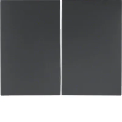 Berker Wippe 2-fach K.1 14357006 | Schalter/Taster | anthrazit matt | Thermoplast | halogenfrei | Klemmbefestigung