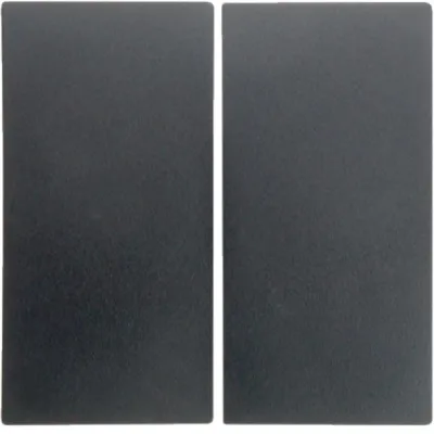 Berker Wippe 2-fach | Serienschalter/Taster | B.1 B.3 B.7 | Kunststoff anthrazit matt | Klemmbefestigung