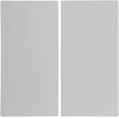 Berker Wippe Serie S.1/B.3/B.7 | 16231909 | Doppelwippe für Schalter/Taster | polarweiß matt | Kunststoff | RAL 9010