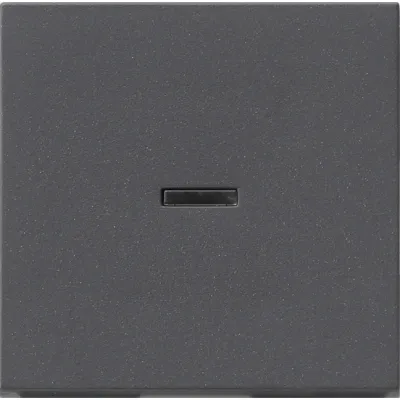 GIRA Wippe für Tast-Kontrollschalter 091428 | System 55 | einteilig | Kontrollfenster | anthrazit